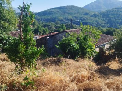 SE VENDE VENDE CASA PARA REFORMAR