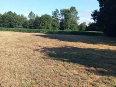 VENTA de casa con 10.000 Mts de terreno. Lugo, Castro Riberas de Lea ( Triaba).