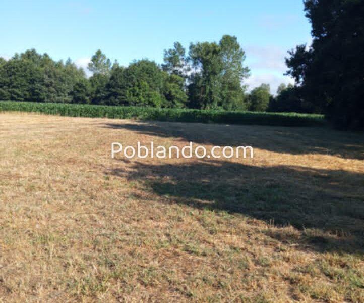 VENTA de casa con 10.000 Mts de terreno. Lugo, Castro Riberas de Lea ( Triaba).
