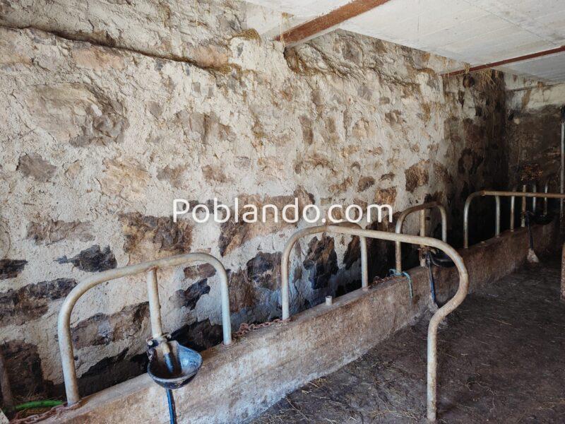 CUADRA DE PIEDRA CONVERTIBLE EN CASA EN QUIRÓS (ASTURIAS)