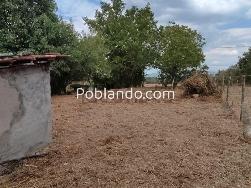 Casa con 20 parcelas