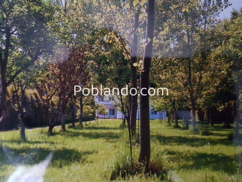 Espectacular casa de 480 m2 y finca de 3.470 m2. A Freiría, muy cerca de Pontevea, Ayuntamiento de Teo