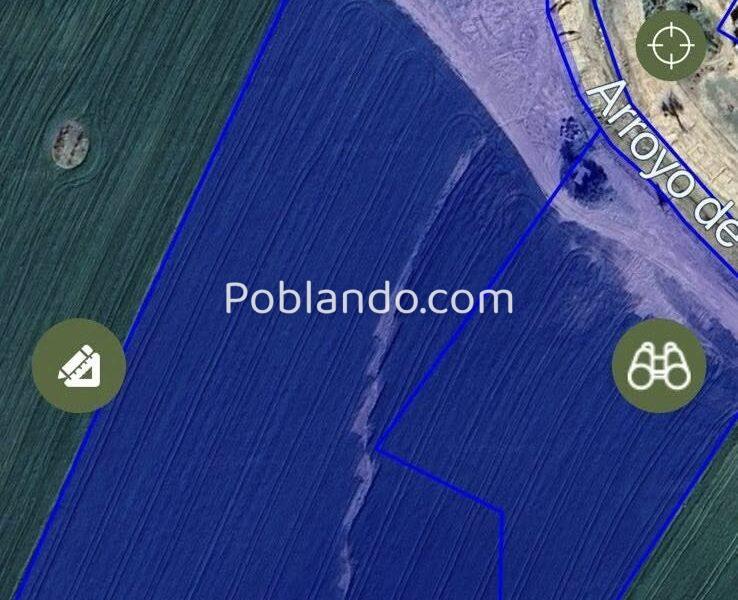 Se venden dos fincas paralelas en El Perrunal, Gibraleón, Huelva. 35.841 m2.