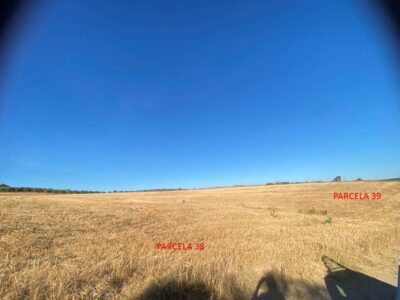 Se venden dos fincas paralelas en El Perrunal, Gibraleón, Huelva. 35.841 m2.