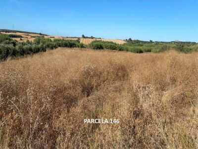 Se vende finca en la Mezquita (Gibraleón, Huelva)