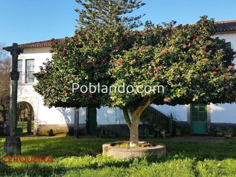 🔥 CASONA CON ENCANTO EN TOMIÑO – UNA JOYA DE 1856 PARA REFORMAR Y REVIVIR. 🏡💫