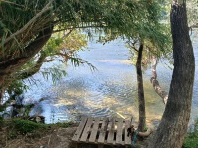 Finca de regadío, con un insólito lugar para vivir junto al rio Ebro