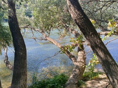 Finca de regadío, con un insólito lugar para vivir junto al rio Ebro