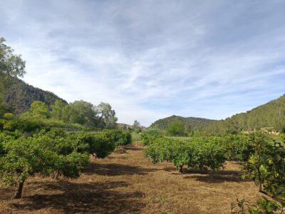 Finca de regadío, con un insólito lugar para vivir junto al rio Ebro