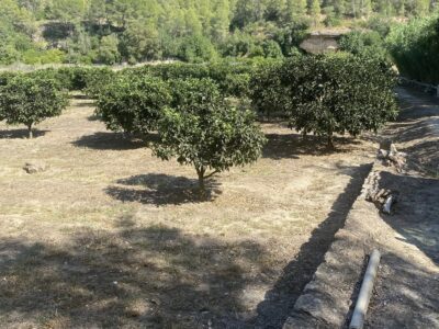 Finca de regadío, con un insólito lugar para vivir junto al rio Ebro