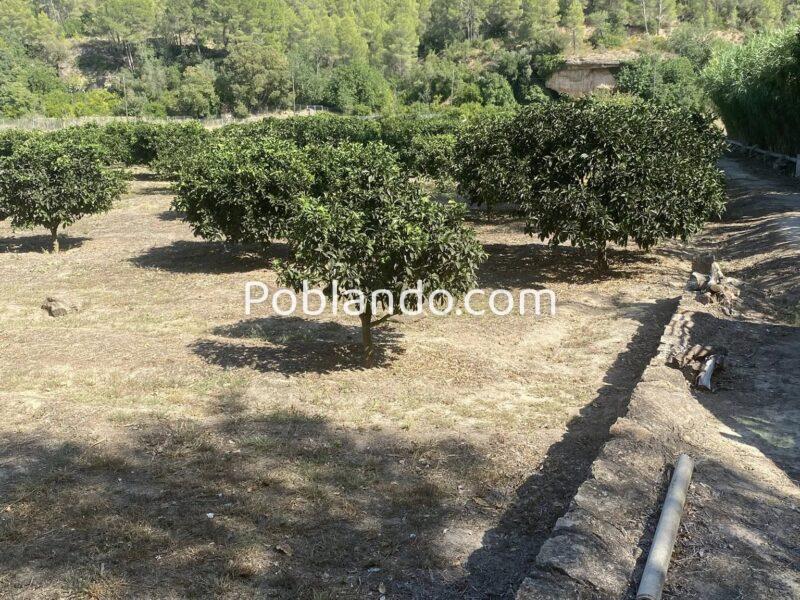 Finca de regadío, con un insólito lugar para vivir junto al rio Ebro