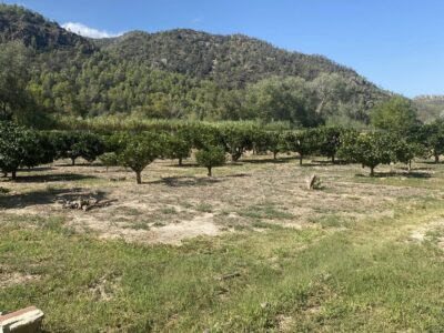 Finca de regadío, con un insólito lugar para vivir junto al rio Ebro