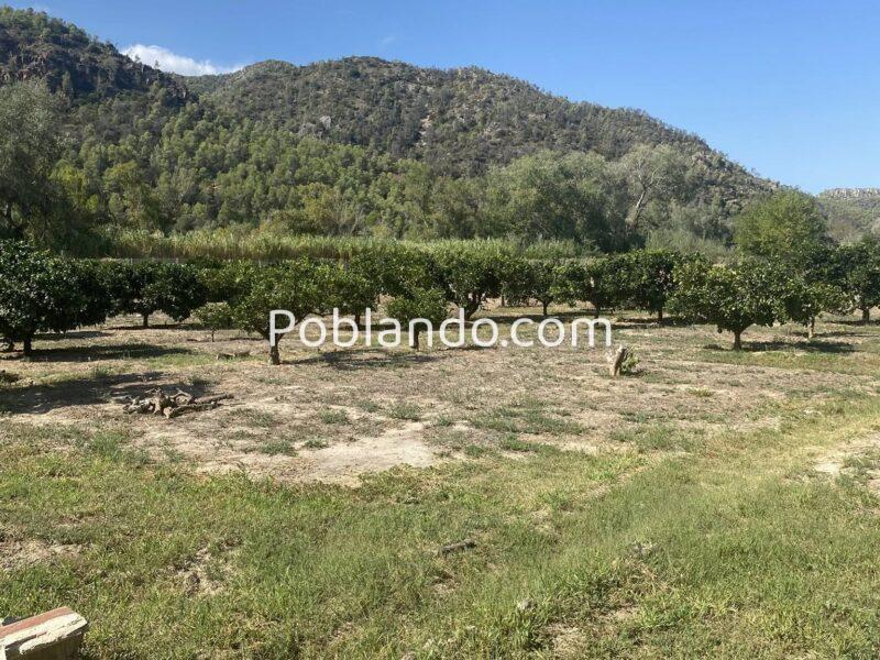 Finca de regadío, con un insólito lugar para vivir junto al rio Ebro