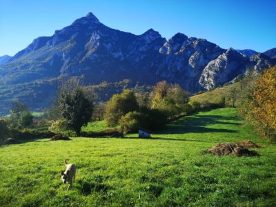 Se vende finca rústica (no urbanizable)en el pueblo de Aciera, Asturias