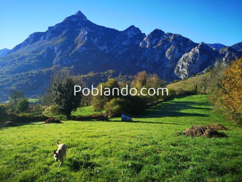 Se vende finca rústica (no urbanizable)en el pueblo de Aciera, Asturias