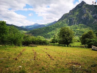 Se vende finca rústica (no urbanizable)en el pueblo de Aciera, Asturias