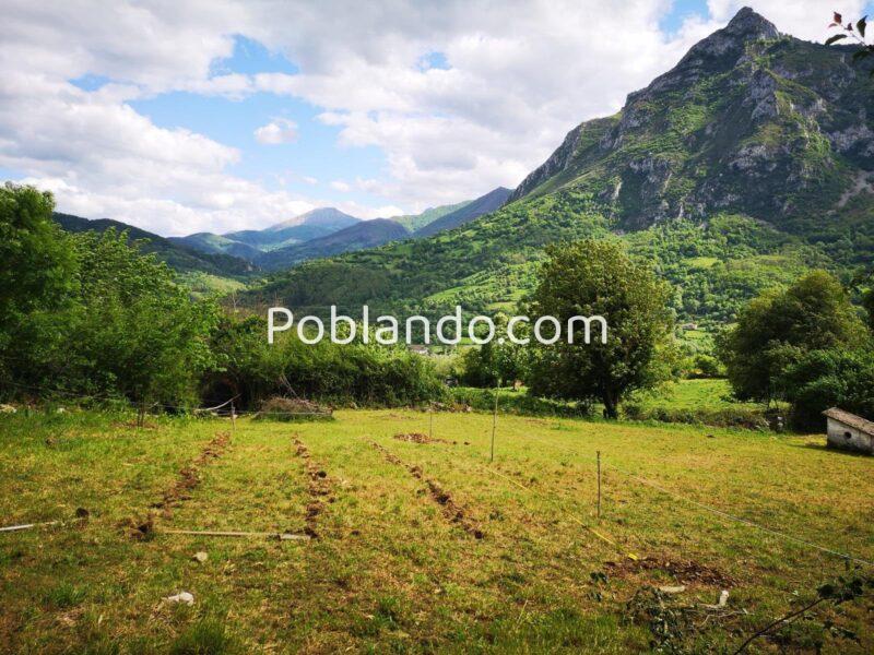 Se vende finca rústica (no urbanizable)en el pueblo de Aciera, Asturias