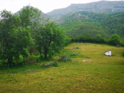 Se vende finca rústica (no urbanizable)en el pueblo de Aciera, Asturias