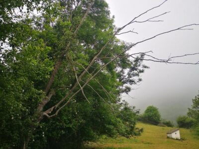 Se vende finca rústica (no urbanizable)en el pueblo de Aciera, Asturias