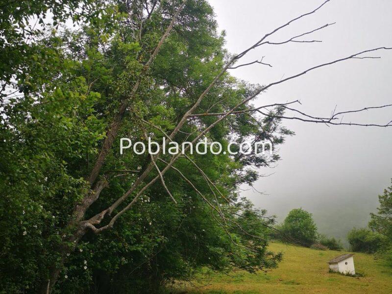 Se vende finca rústica (no urbanizable)en el pueblo de Aciera, Asturias