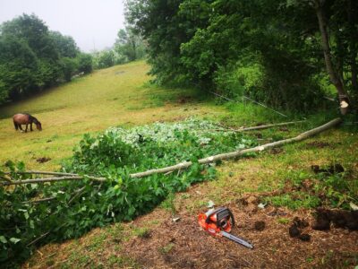Se vende finca rústica (no urbanizable)en el pueblo de Aciera, Asturias