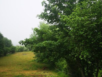 Se vende finca rústica (no urbanizable)en el pueblo de Aciera, Asturias
