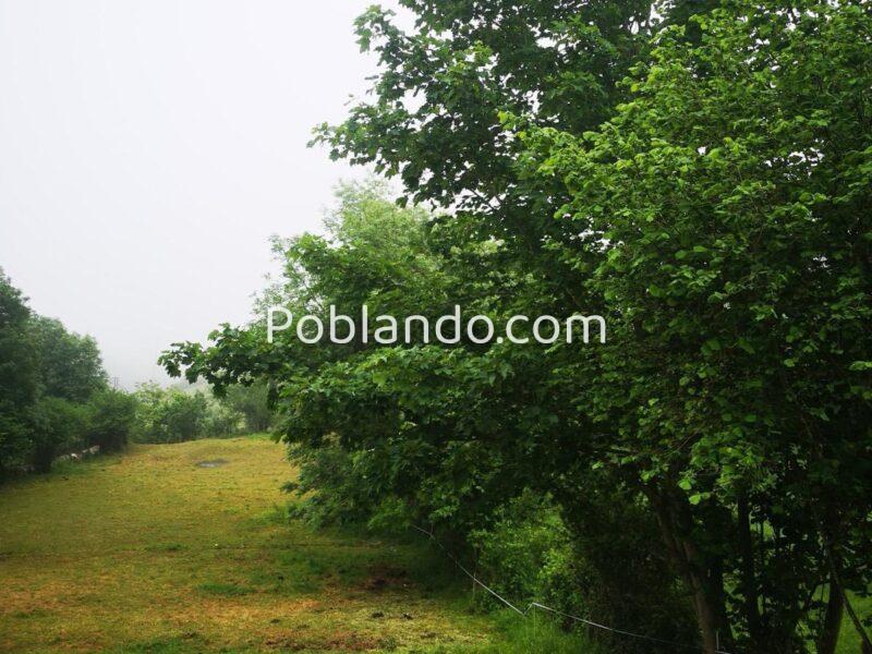 Se vende finca rústica (no urbanizable)en el pueblo de Aciera, Asturias