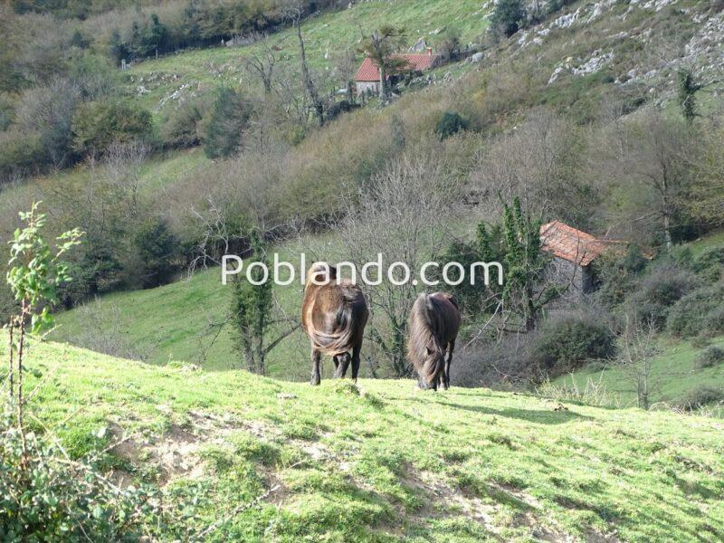Terreno edificable en Bimenes, Asturias