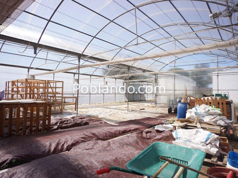 Ref. F44. FINCA RUSTICA CON EDIFICACION EN CHIPIONA. A POCOS METROS DE COSTA BALLENA ( GOLF Y PLAYA) . IDEAL PARA CAMPING O PARKING PARA AUTOCARAVANAS.