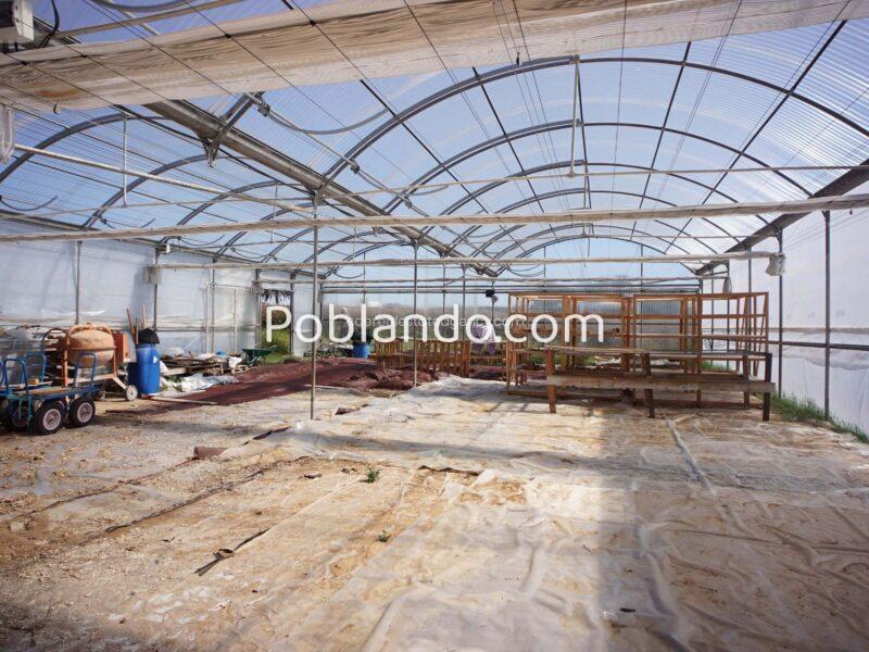 Ref. F44. FINCA RUSTICA CON EDIFICACION EN CHIPIONA. A POCOS METROS DE COSTA BALLENA ( GOLF Y PLAYA) . IDEAL PARA CAMPING O PARKING PARA AUTOCARAVANAS.