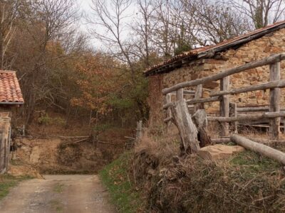 Dos fincas rústicas en venta en Asturias.