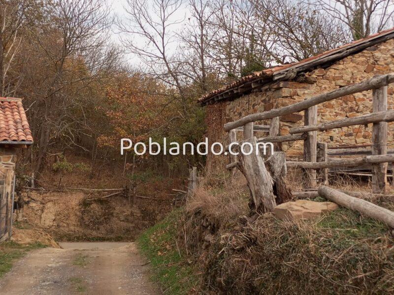 Dos fincas rústicas en venta en Asturias.