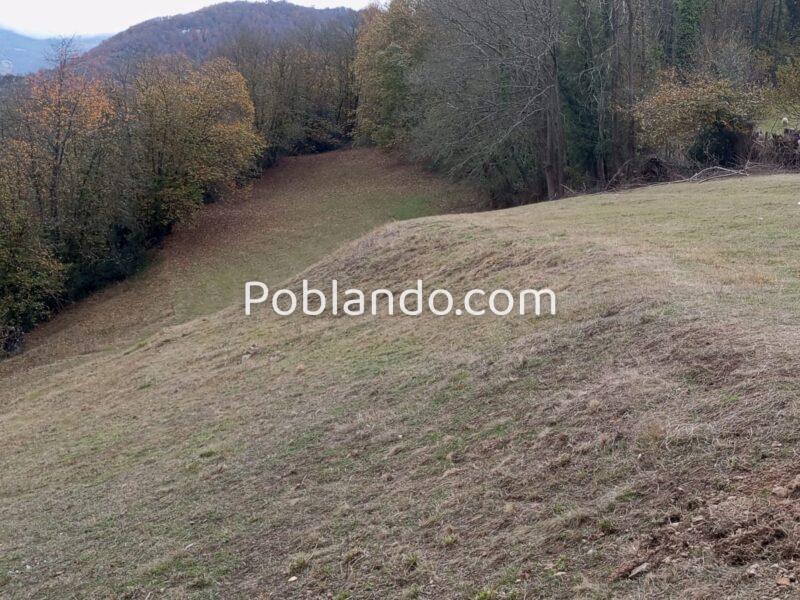 Dos fincas rústicas en venta en Asturias.