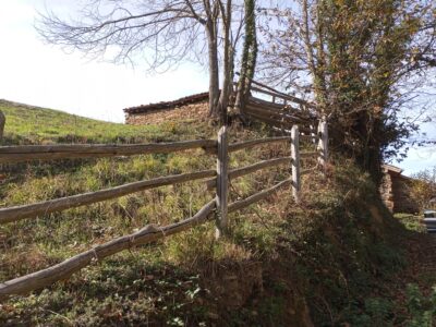 Dos fincas rústicas en venta en Asturias.