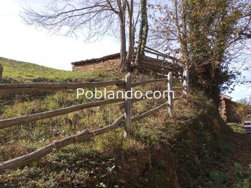 Dos fincas rústicas en venta en Asturias.