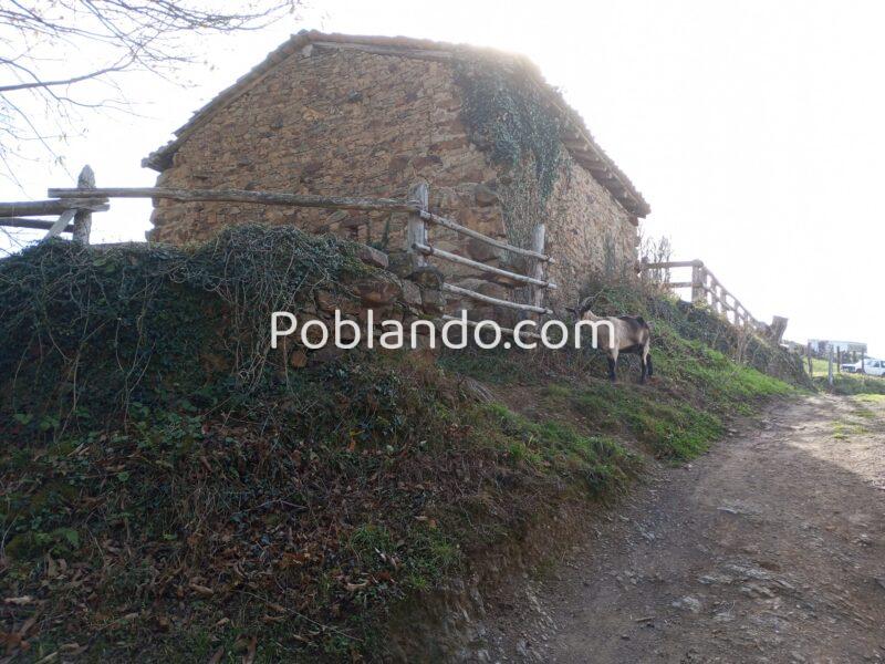 Dos fincas rústicas en venta en Asturias.