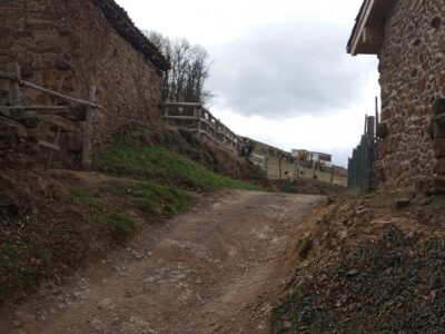 Dos fincas rústicas en venta en Asturias.