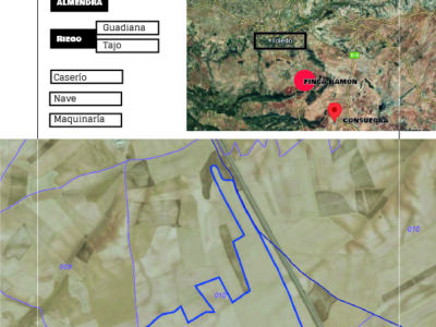 Vendo o alquilo para energía solar, por jubilación. 366 HA. Cultivo de cereal , viña y almendros. Con concesíon de riego, ríos Tajo y Guadiana. Maquinaría, casa, naves.