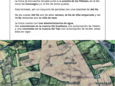 Vendo o alquilo para energía solar, por jubilación. 366 HA. Cultivo de cereal , viña y almendros. Con concesíon de riego, ríos Tajo y Guadiana. Maquinaría, casa, naves.