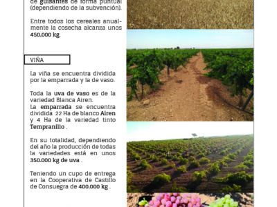 Vendo o alquilo para energía solar, por jubilación. 366 HA. Cultivo de cereal , viña y almendros. Con concesíon de riego, ríos Tajo y Guadiana. Maquinaría, casa, naves.
