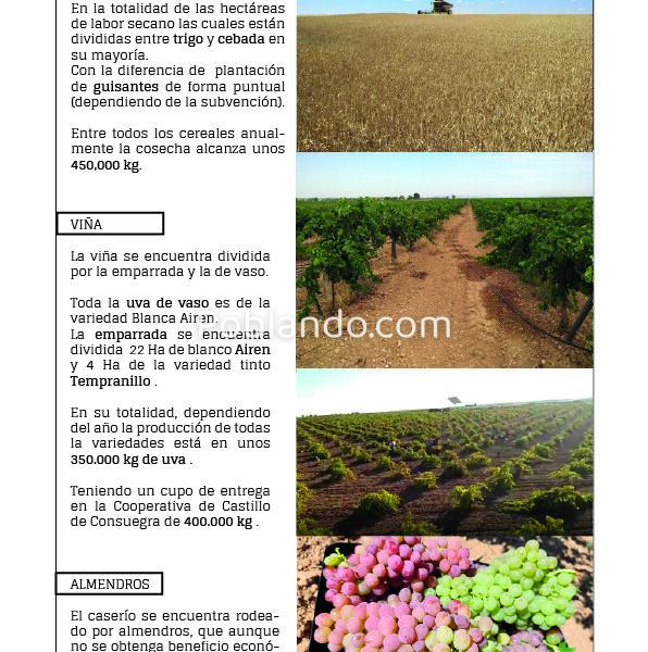 Vendo o alquilo para energía solar, por jubilación. 366 HA. Cultivo de cereal , viña y almendros. Con concesíon de riego, ríos Tajo y Guadiana. Maquinaría, casa, naves.