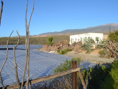 ¡¡¡ Oportunidad única en el sur de Tenerife, Finca Rústica en Explotación !!!