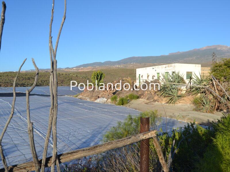 ¡¡¡ Oportunidad única en el sur de Tenerife, Finca Rústica en Explotación !!!