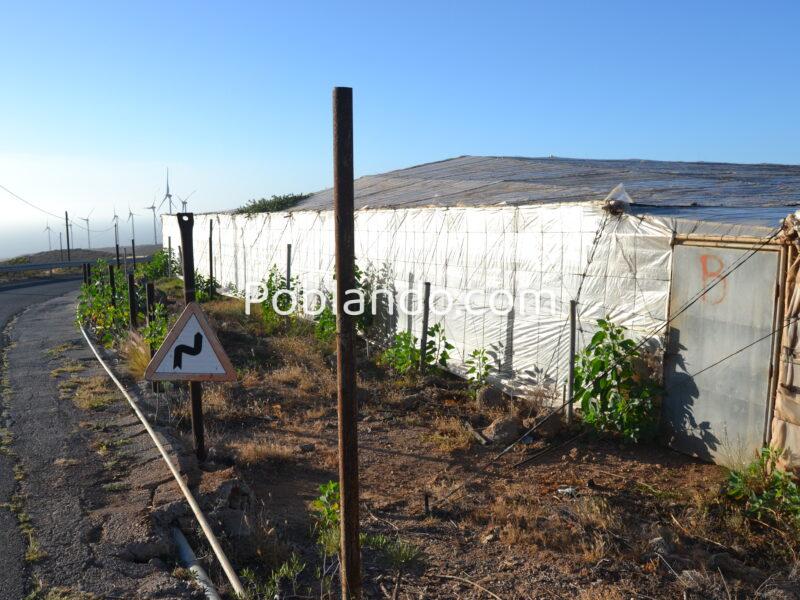 ¡¡¡ Oportunidad única en el sur de Tenerife, Finca Rústica en Explotación !!!
