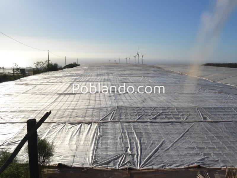 ¡¡¡ Oportunidad única en el sur de Tenerife, Finca Rústica en Explotación !!!