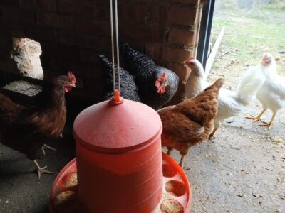 Casa con finca para reformar