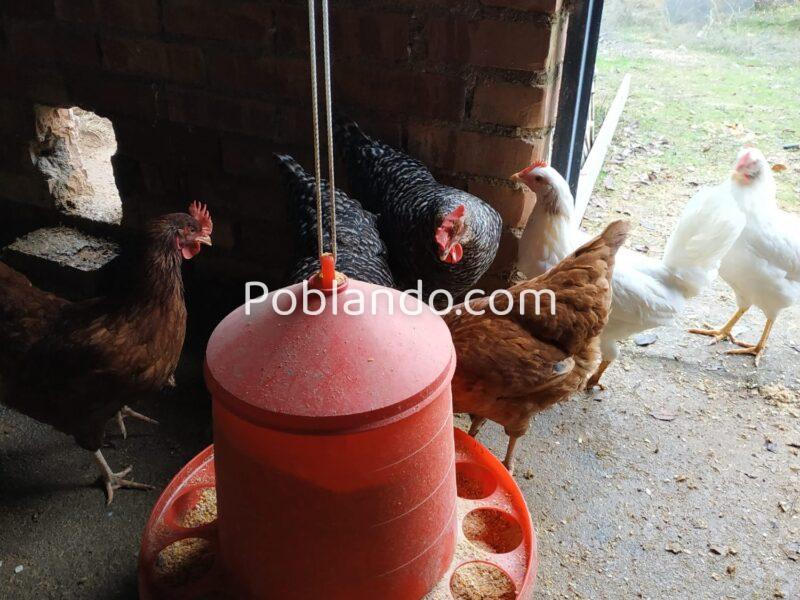 Casa con finca para reformar