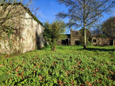 Casa de piedra para restaura con finca segregable