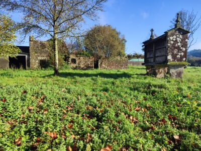 Casa de piedra para restaura con finca segregable