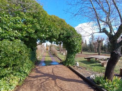 Casa campo con parcela 14000m, cerca de núcleo urbano
